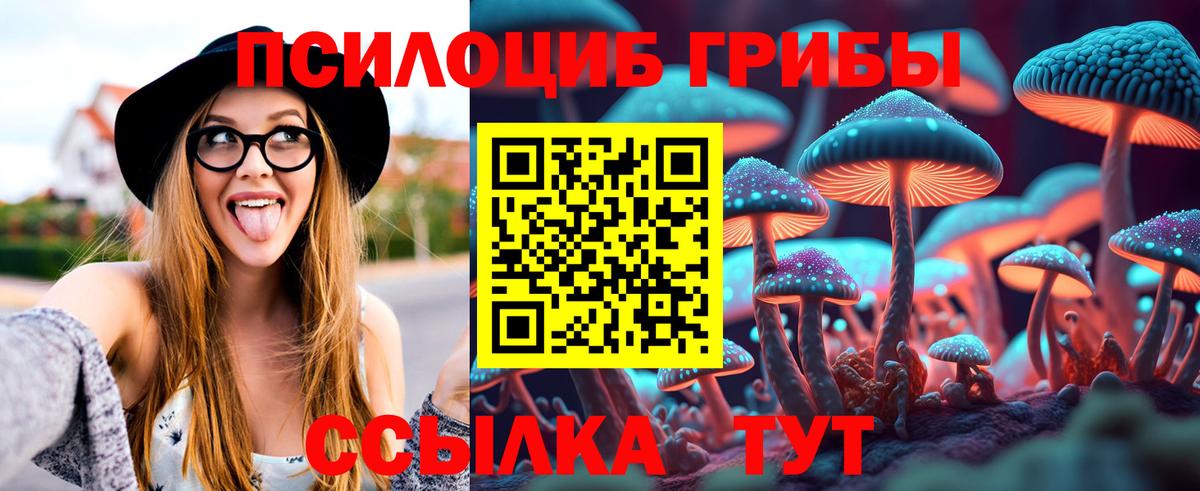 Галлюциногенные грибы мицелий  Вход с VPN  Мурино  Псилоцибиновые грибы Magic Shrooms 